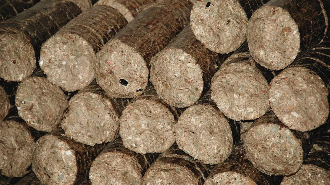 Gros plan sur la texture d'un bois de chauffage de haute qualité