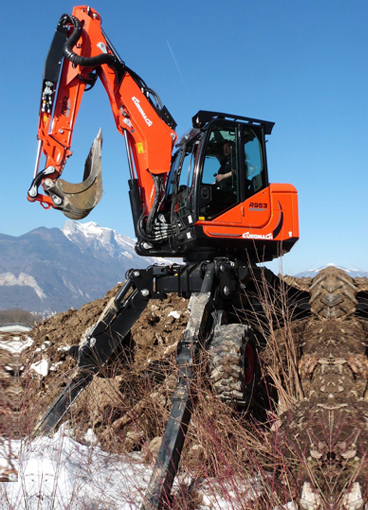 Pelle Araignée R955